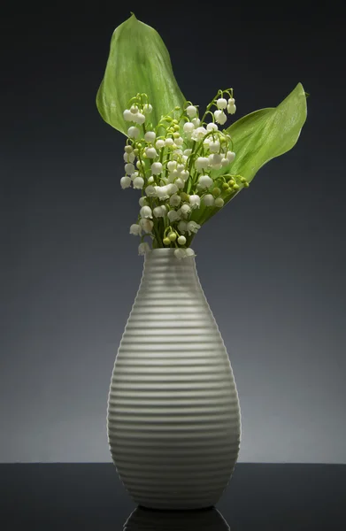 Lily of the valley on gradient gray background with reflection — Stock Photo, Image