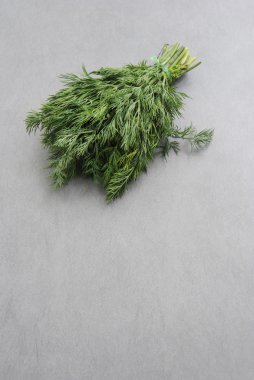 taze dereotu arka plan