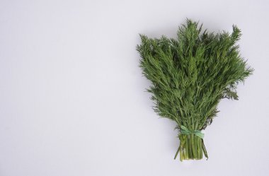 taze dereotu arka plan