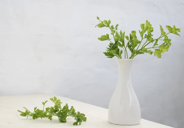 Petersilie im Blumentopf — Stockfoto