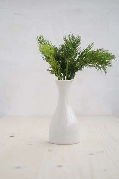 Fresh dill in flowerpot — Stock Photo, Image