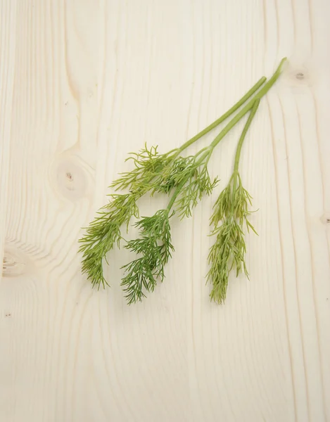 Fresh dill — Stock Photo, Image