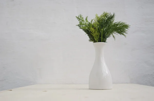 Fresh dill in flowerpot — Stock Photo, Image