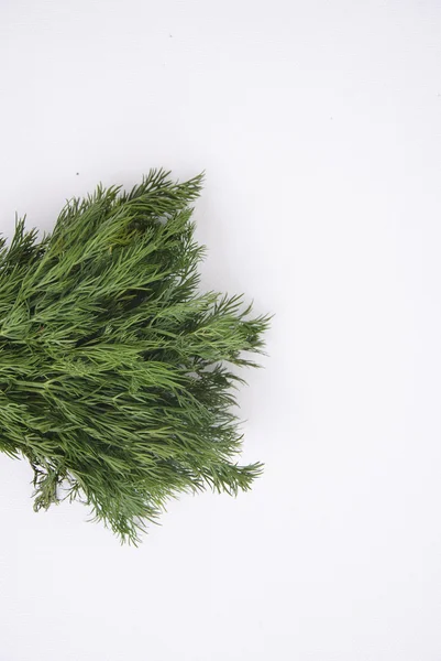 Fresh dill background — Stock Photo, Image