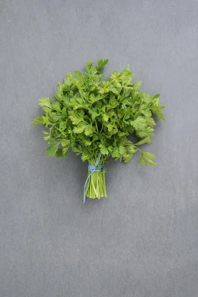 Parsley — Stock Photo, Image