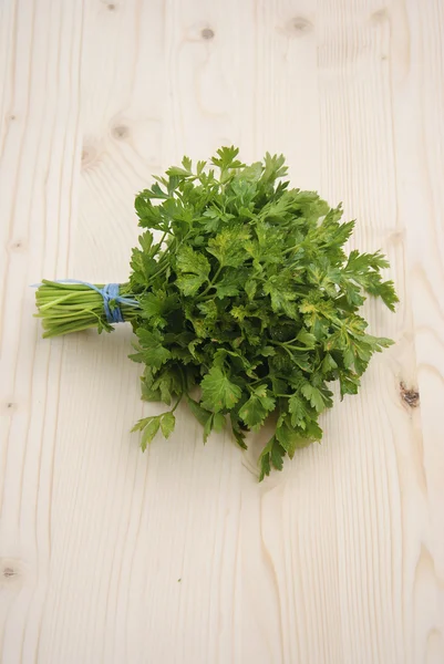 Parsley — Stock Photo, Image