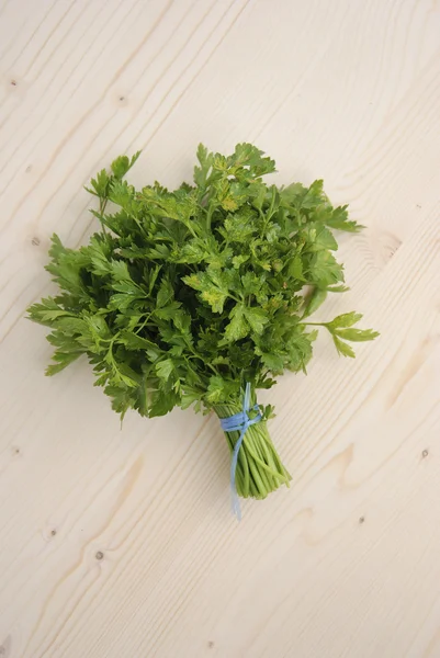 Parsley — Stock Photo, Image