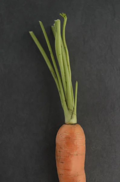 Carrot detail — Stock Photo, Image