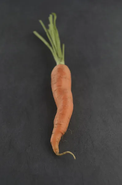 Carrot — Stock Photo, Image