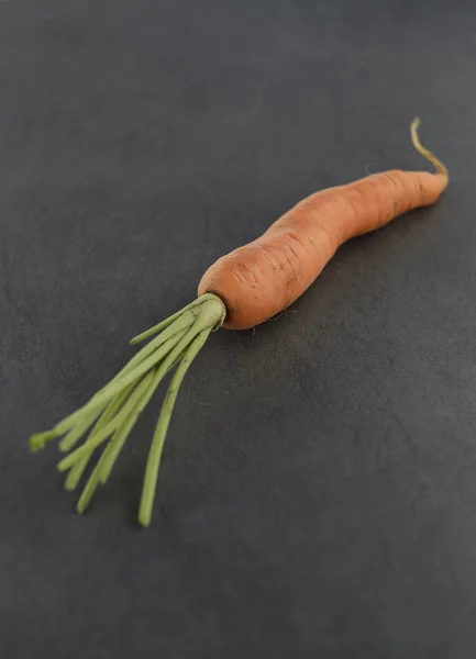 Carrot — Stock Photo, Image