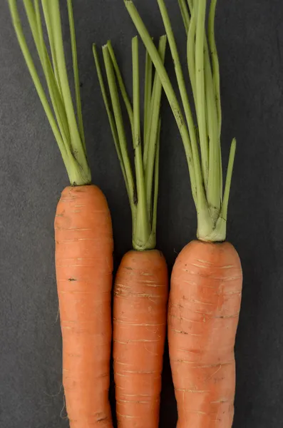 O adunătură de morcovi — Fotografie, imagine de stoc