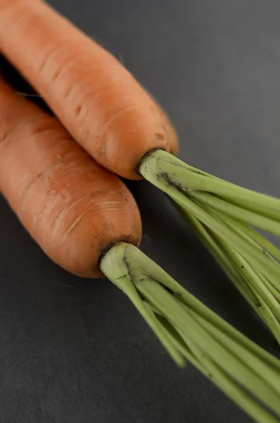 Carrot detail — Stock Photo, Image