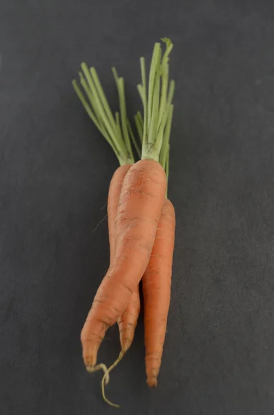 Bunch of carrots — Stock Photo, Image