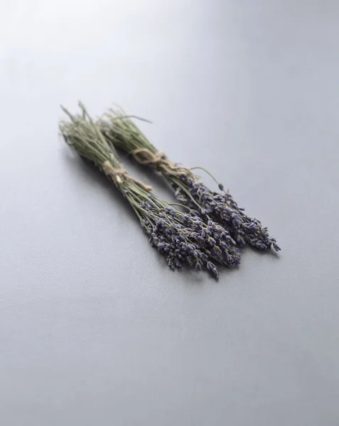 Flores de lavanda — Fotografia de Stock