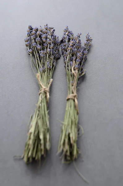 Flores de lavanda — Fotografia de Stock