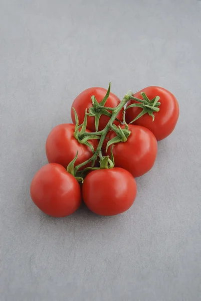 Tomaten — Stockfoto