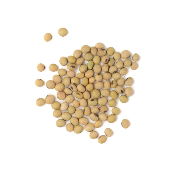 하얀 배경에 분리 된 콩 — 스톡 사진
