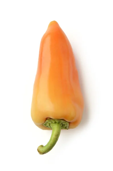 Peper geïsoleerd — Stockfoto