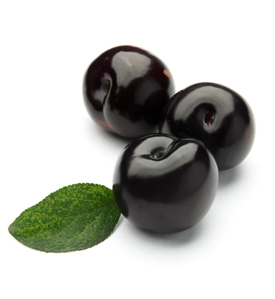 Prunes isolées — Photo