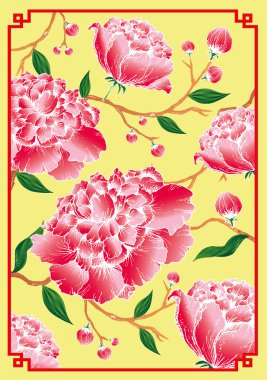 Şakayık çiçekleri