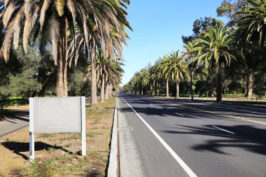 palo Alto palmiye sokak görünümü