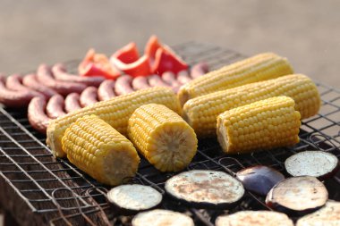 Delicious food on the grill, picnic concept