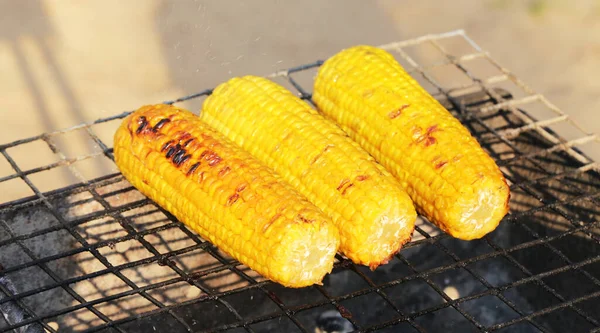 Corn Cobs Grill Cooking Concept — Stock fotografie
