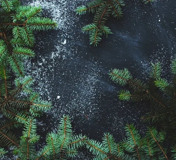 Fir Tree Table Dark Background Copy Space — Stok fotoğraf