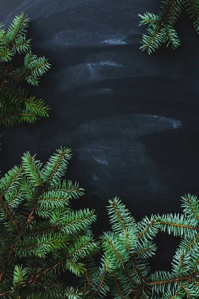 Fir Tree Table Dark Background Copy Space — Stockfoto