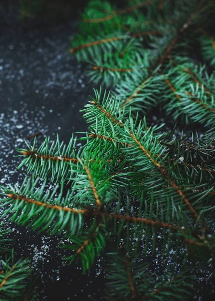 Fir Tree Table Dark Background Copy Space — Stok fotoğraf