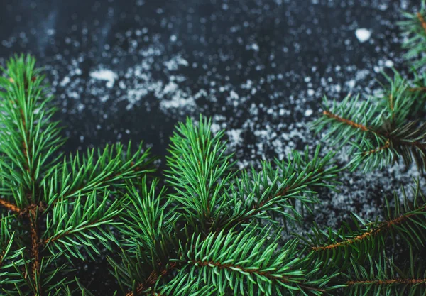 Fir Tree Table Dark Background Copy Space — стоковое фото