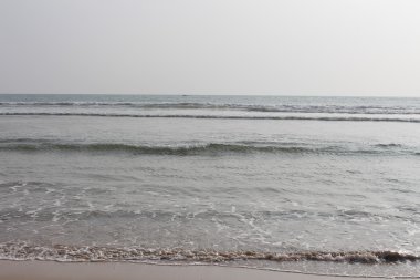 Soğuk okyanus kıyısı