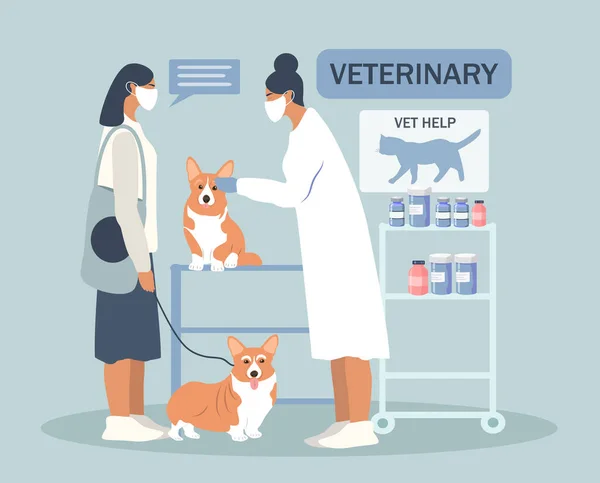  Veterinerlik kliniğinin temasına düz stil çizilmiş vektör el çizimi. Veteriner Corgi köpeğini muayene ediyor.
