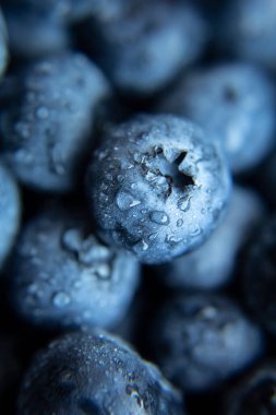 Yaban mersinli böğürtlenlere su damlaları yakın çekim, makro.