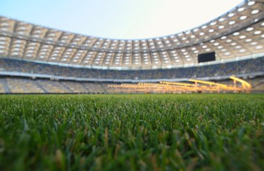 bir stadyumda çimen