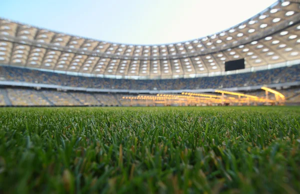 Grass on a stadium — Stock Photo, Image