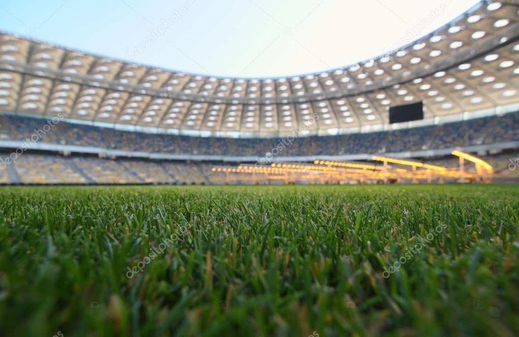 Grass on a stadium