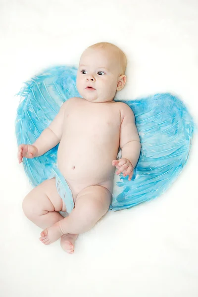 Bayi laki-laki dengan sayap malaikat biru pada latar belakang putih — Stok Foto