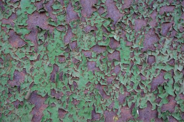 paslı metal üzerinde yeşil boya