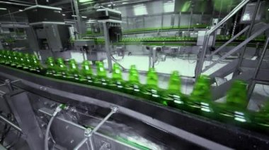 Bira fabrikasında bira doldurmak için sıra. Boş yeşil cam şişeler bira fabrikasında kuyrukta konveyör bandında hareket ediyor..