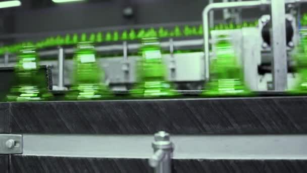 A sörfőzdében való sörtöltéshez használt sor. Üres zöld üvegpalackok mozognak egy szállítószalagon egy sörgyárban.. — Stock videók