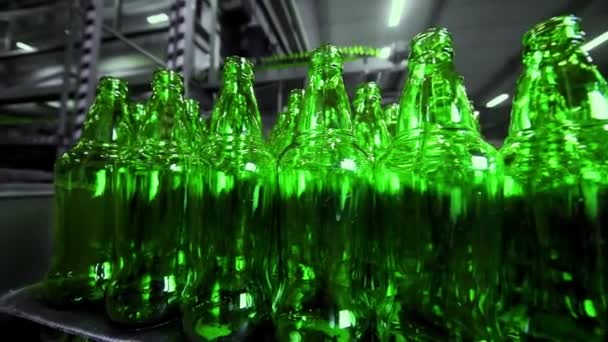 Línea para llenar cerveza en una cervecería. Botellas de vidrio verde vacías moviéndose en una cinta transportadora en una cola en una fábrica de cerveza. — Vídeo de stock