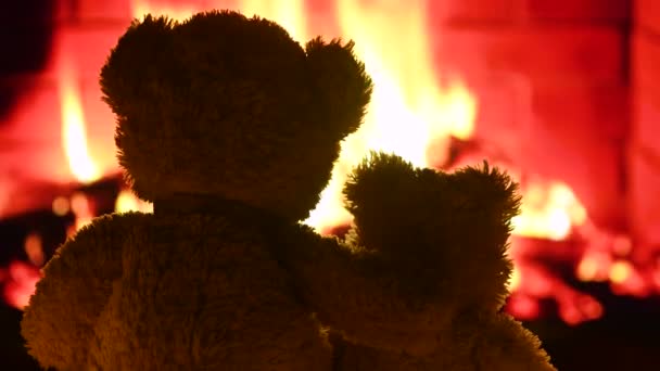 Dua boneka beruang sedang duduk memeluk dan melihat api perapian. — Stok Video