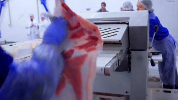 DONETSK, UKRAINE-GRUDZIEŃ 15.2018-pracownicy zakładu przetwórstwa mięsnego wkładają nieprzetworzone kawałki mięsa do maszyny do skórowania. — Wideo stockowe