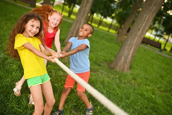 En grupp barn tävlar i en dragkamp i det fria mot bakgrund av gräs och park. — Stockfoto