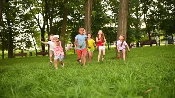 Ομάδα των παιδιών των αγοριών και των κοριτσιών των διαφόρων φυλών τρέχουν στο πράσινο γρασίδι με φόντο ένα πάρκο αναψυχής. Ημέρα των παιδιών, — Αρχείο Βίντεο
