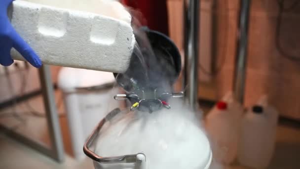 Vase de Dewar avec azote liquide avec des embryons congelés et des œufs dans une cryobanque dans une clinique moderne de FIV. Médecine de la reproduction, fécondation in vitro — Video