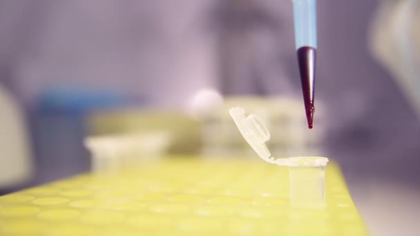 Une goutte de sang en gros plan à l'extrémité d'une pipette médicale ou d'un distributeur en laboratoire. — Video