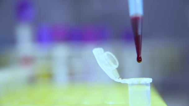 A drop of blood close-up at the end of a medical pipette or dispenser in the laboratory. — Stock Video