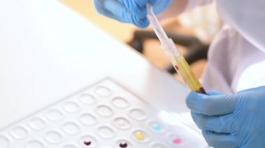 Kauçuk eldivenli araştırmacı bakteriyolojik ya da genetik laboratuvar kan testi yapar